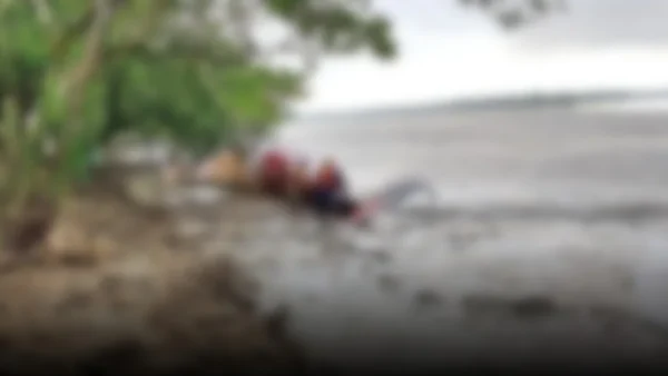 Alerta sanitaria en Arequipa: ballena jorobada muerta genera preocupación en la costa