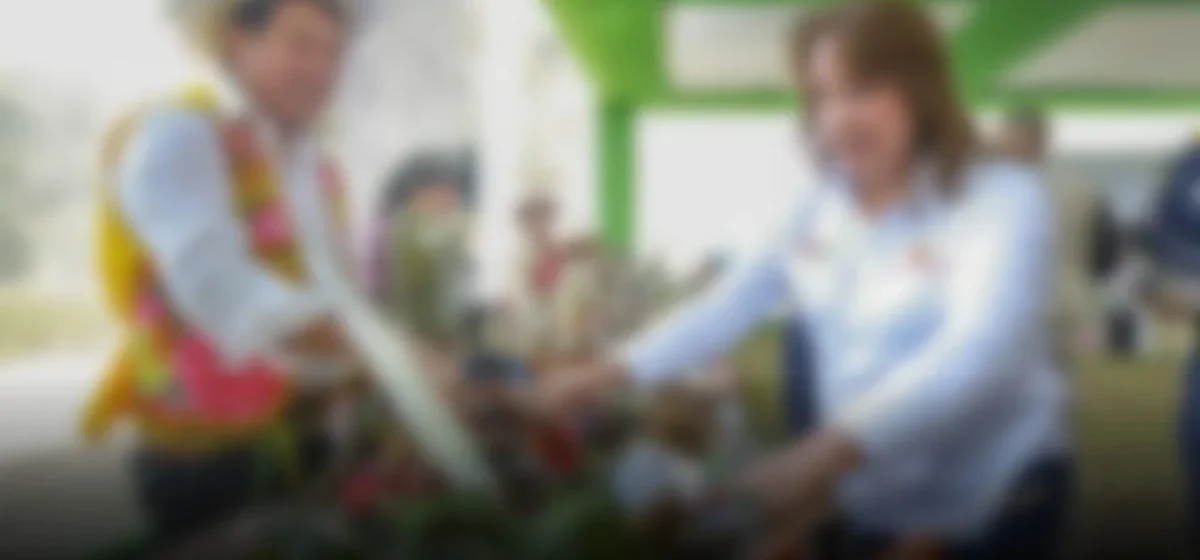 Desafíos y Propuestas para el Agro Peruano: Un Análisis Crítico de las Estrategias Políticas