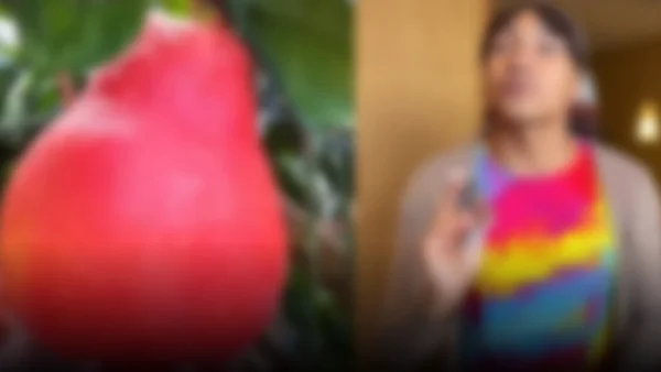 El fenómeno de las frutinovelas: cómo las frutas se apoderan de TikTok con drama y risas