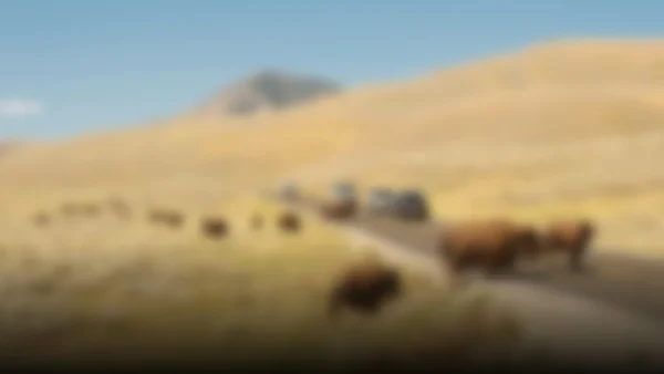 Chile en alerta: sismos sacuden el norte y centro del país este 15 de mayo