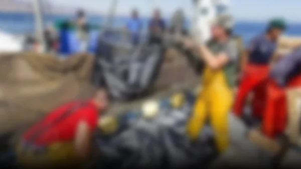 El futuro incierto de la pesca en Perú: ¿un nuevo golpe para la economía nacional?