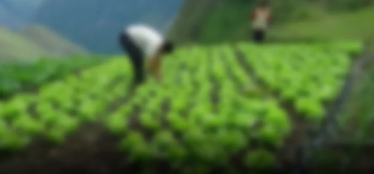 Fuerza Popular propone un nuevo enfoque estatal para revitalizar la agricultura en Perú