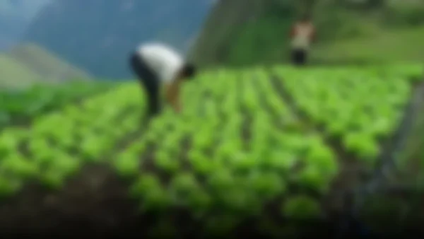Fuerza Popular propone un nuevo enfoque estatal para revitalizar la agricultura en Perú