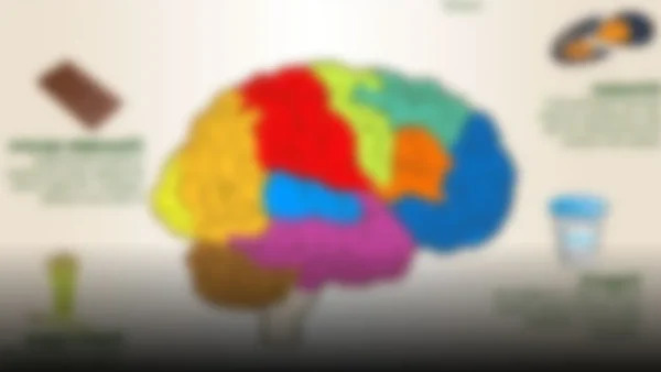 Alimentos que potencian tu mente: descubre cómo nutrir tu cerebro
