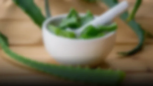 Descubre cómo el aloe vera puede transformar tu cocina y tu bienestar