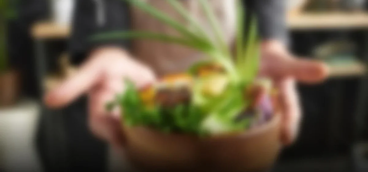 El impacto de la gastronomía sostenible: un llamado a la acción global