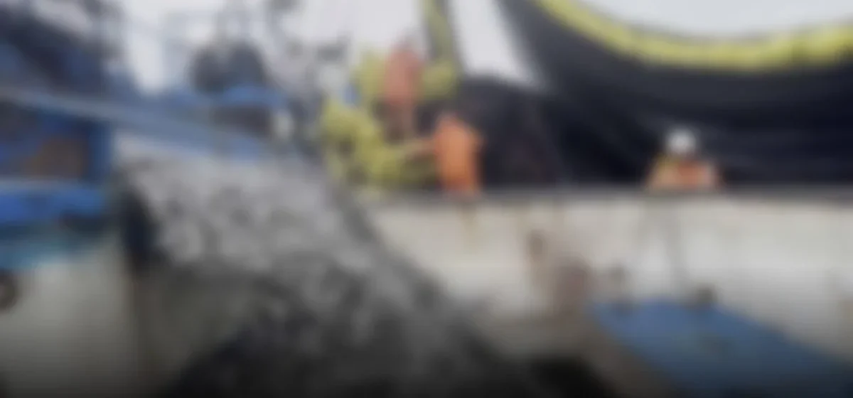 La pesca de anchoveta en peligro: El Niño y sus efectos devastadores para el sector pesquero peruano