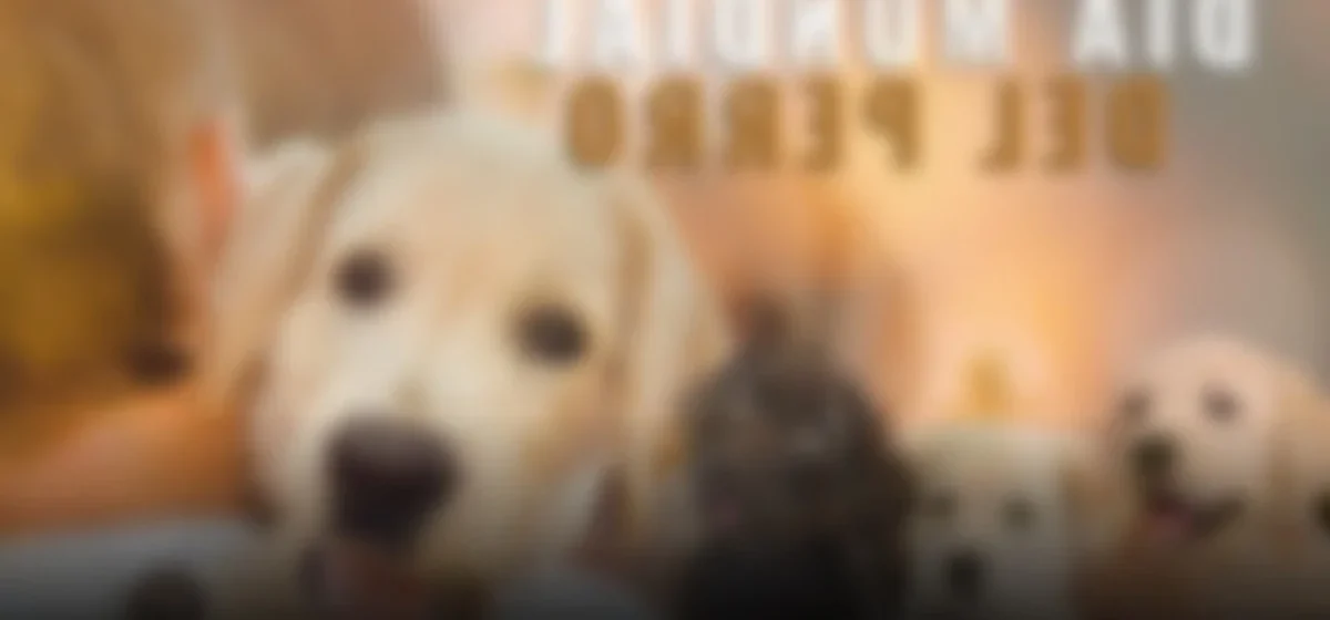 El Día Mundial del Perro: Celebración y Conciencia en Tiempos de Abandono