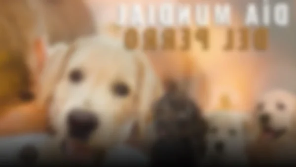 El Día Mundial del Perro: Celebración y Conciencia en Tiempos de Abandono