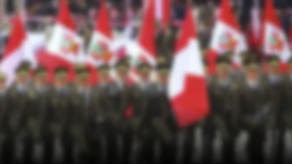 Reviviendo la Grandeza: El Desfile Militar del 29 de Julio en Lima