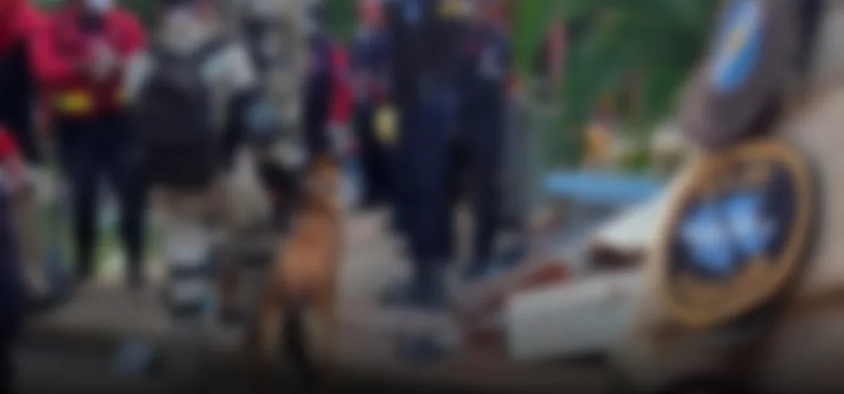 El último acto de amor: abogada colombiana muere protegiendo a su perro tras un terremoto