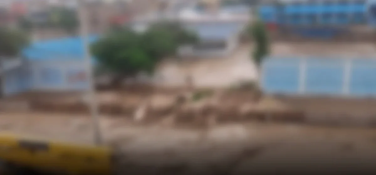 Inundaciones en Lima: Villa El Salvador se prepara para la emergencia tras intensas lluvias