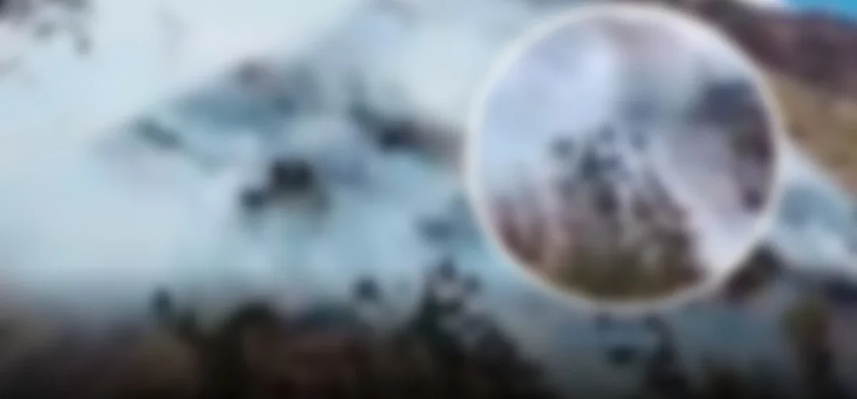 Tragedia en Pasco: un muerto y devastación por incendios forestales