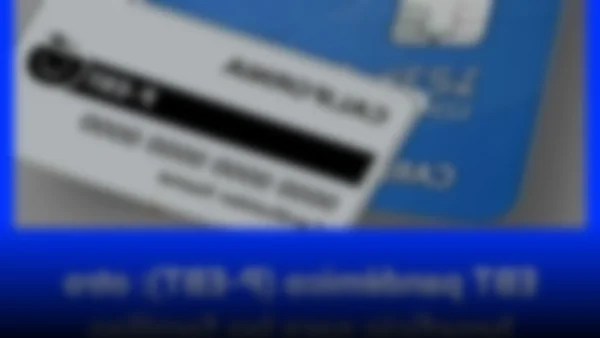 Última oportunidad para familias californianas: soliciten US$120 por hijo antes de que cierre el plazo
