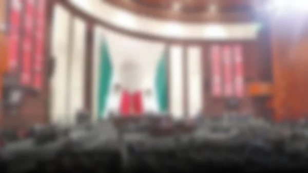 Crisis legislativa: Diputados se dividen sobre las facultades del Ejecutivo en materia energética