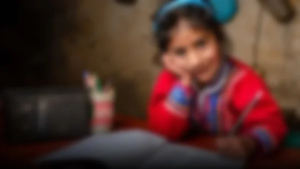 Desafíos en la educación peruana: PISA 2025 revela retroceso en habilidades de lectura