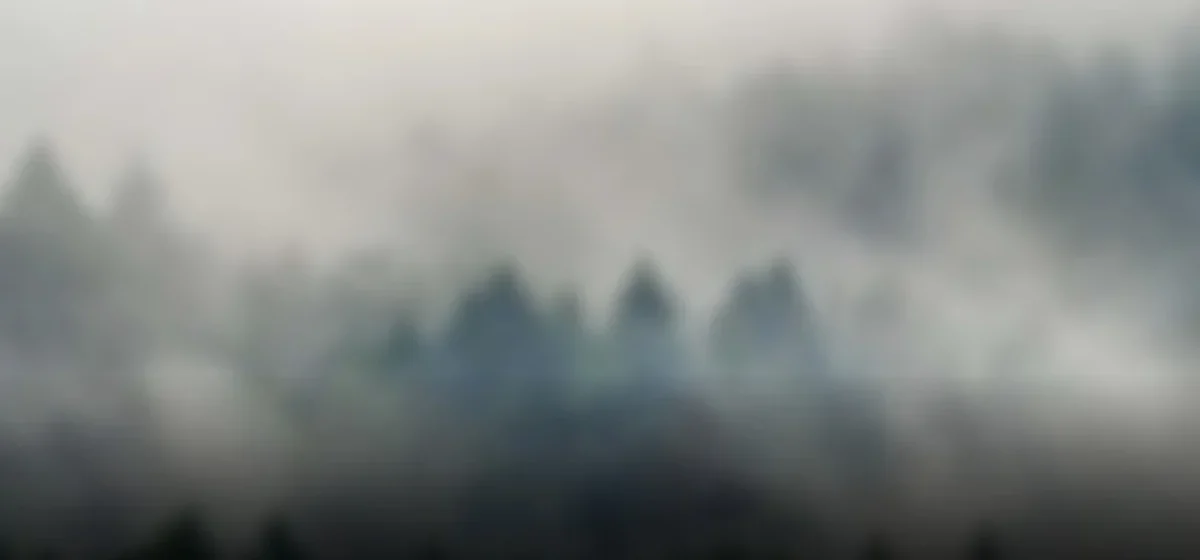 El milagro en el aire: cómo un vuelo sin controles salvó a 184 vidas