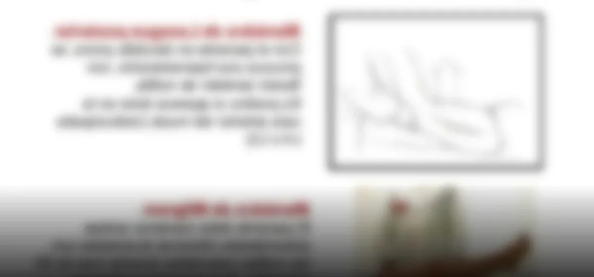 El nuevo triunvirato de Fuerza Popular: ¿un cambio de rumbo o más de lo mismo?
