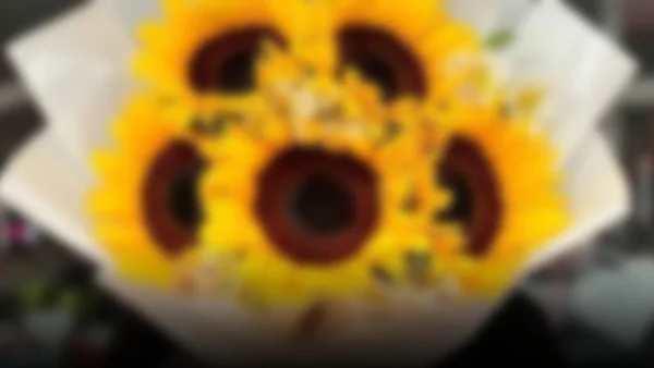Flores amarillas: el regalo que florece en primavera y en redes sociales