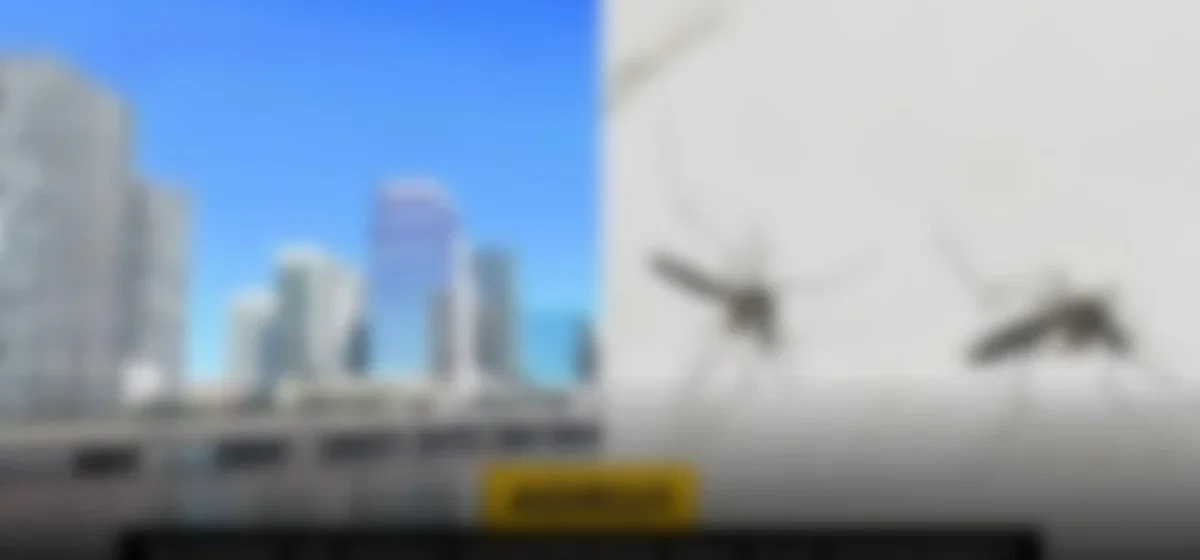 Florida enfrenta alerta sanitaria tras la primera muerte por dengue en casi un siglo