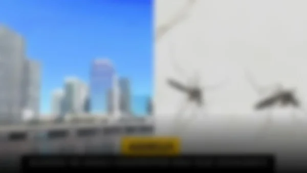 Florida enfrenta alerta sanitaria tras la primera muerte por dengue en casi un siglo