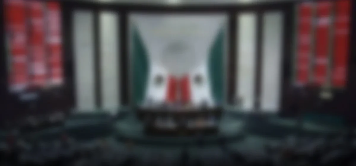 Crisis política: el Senado y la Cámara de Diputados en el centro de la tormenta