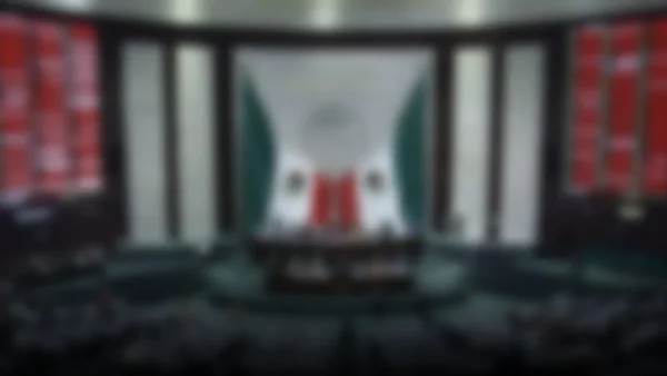 Crisis política: el Senado y la Cámara de Diputados en el centro de la tormenta