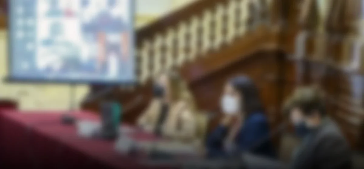 Desafíos del nuevo Congreso: Expertos analizan la reciente prueba de facultades del Ejecutivo