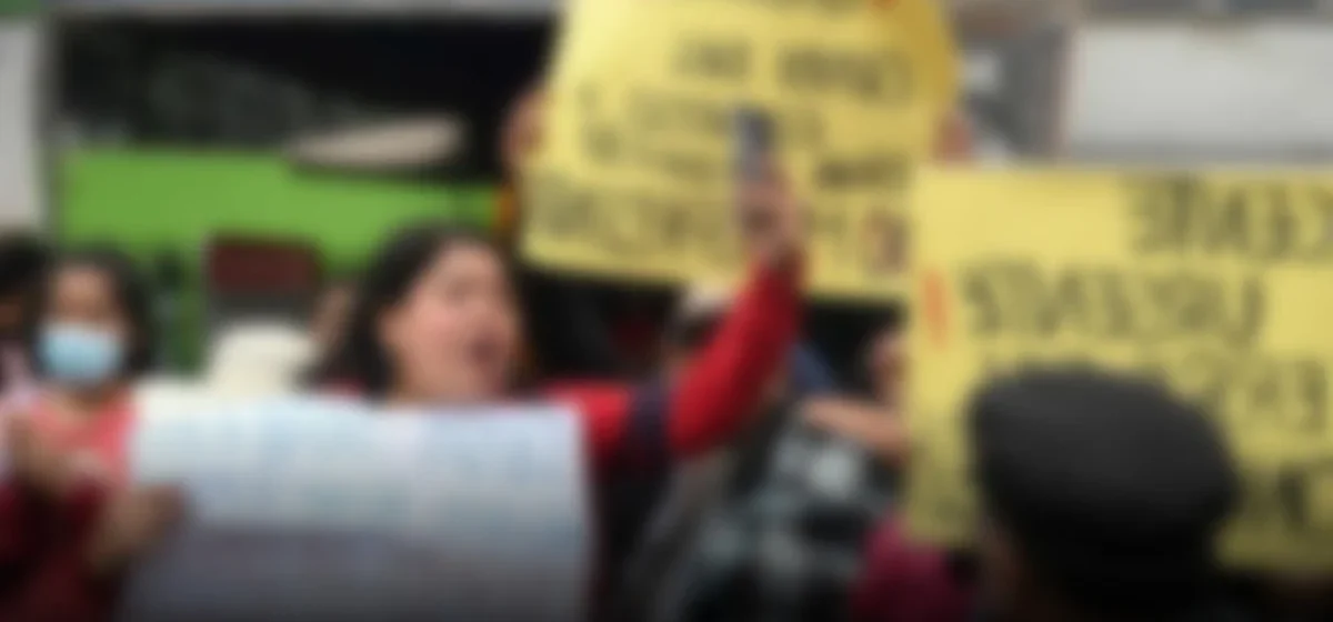 El ladrido de la política: ¿una señal de avance o un eco de errores?