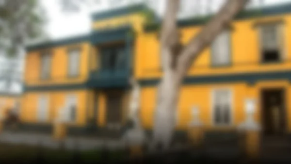 La Casa Echenique: Un legado artístico en peligro de extinción