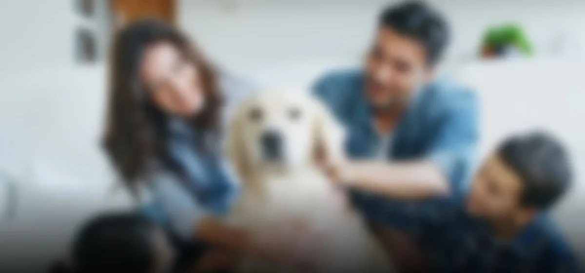 La nueva familia: ¿son las mascotas los nuevos miembros del hogar?
