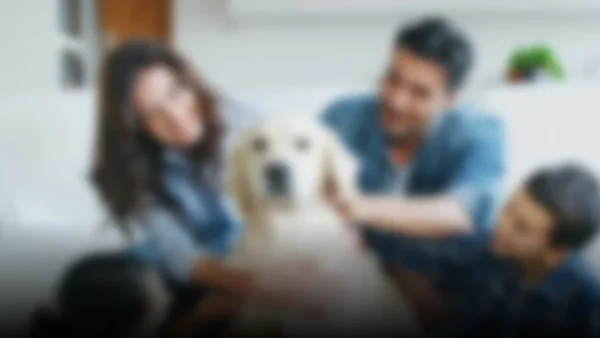 La nueva familia: ¿son las mascotas los nuevos miembros del hogar?